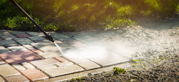Best House Exterior Washing  in Cattaraugus, NY